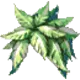 Spore Hat - ROMC Headwear