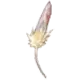 Harpy's Feather - ROMC Material