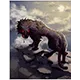 Galion Card - ROMC Card