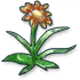 Fancy Flower - ROMC Headwear