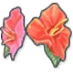 Hibiscus - ROMC Headwear