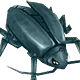 Thief Bug Male - ROMC Monster